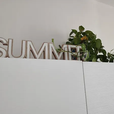 Endless Summer *