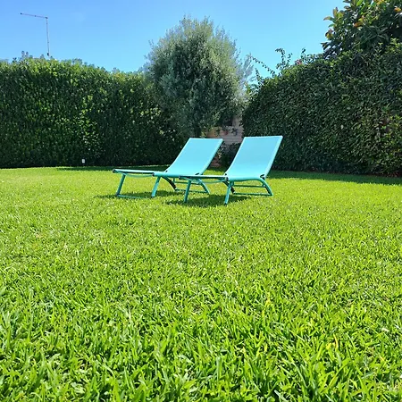 Endless Summer *